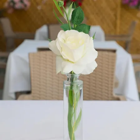 Atlantis & מלון 4*