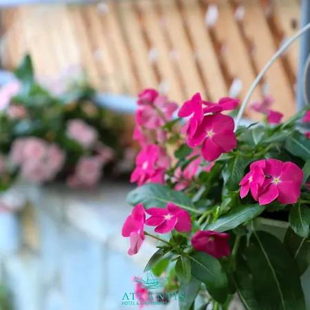 ホテル Atlantis & クサミル