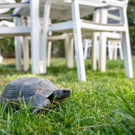 Atlantis & 4* Ksamil